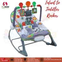 Newborn to Toddler Portable Rocker