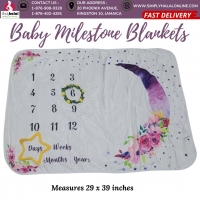 Baby Monthly Milestone Blanket