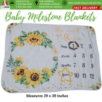  Baby Monthly Milestone Blanket